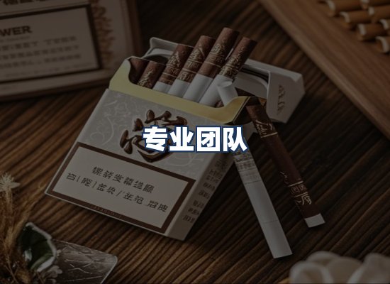 专业团队